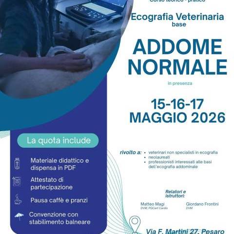 Ecografia addominale del cane e del gatto - Corso base teorico-pratico  in presenza - Maggio 2026